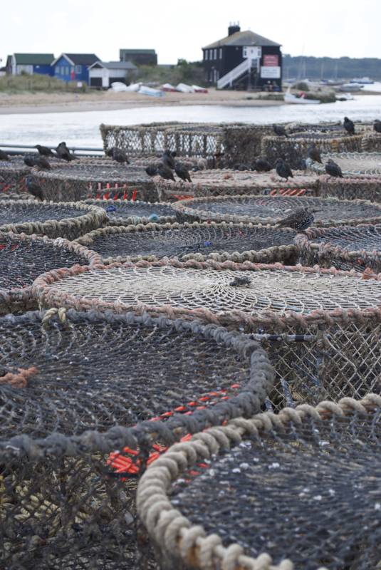 Campsites in Dorset The best camping locations in Dorset